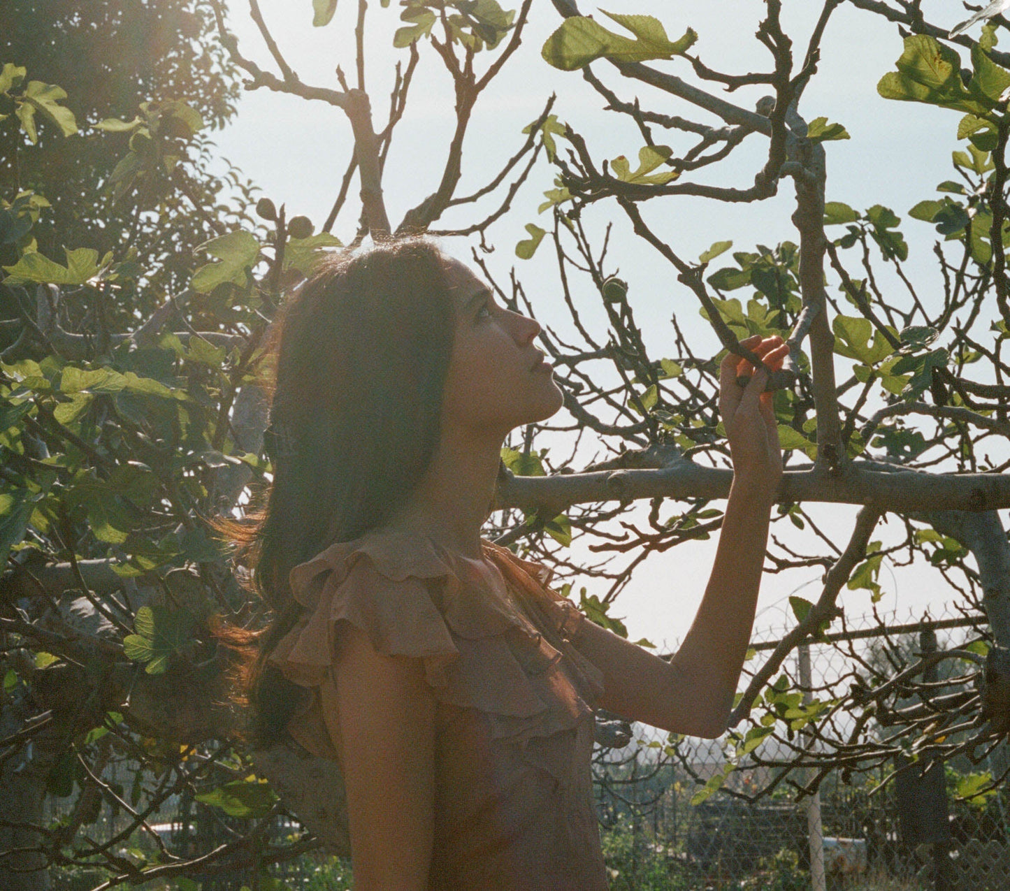 HMD -- FLORA DRESS -- ADOBE