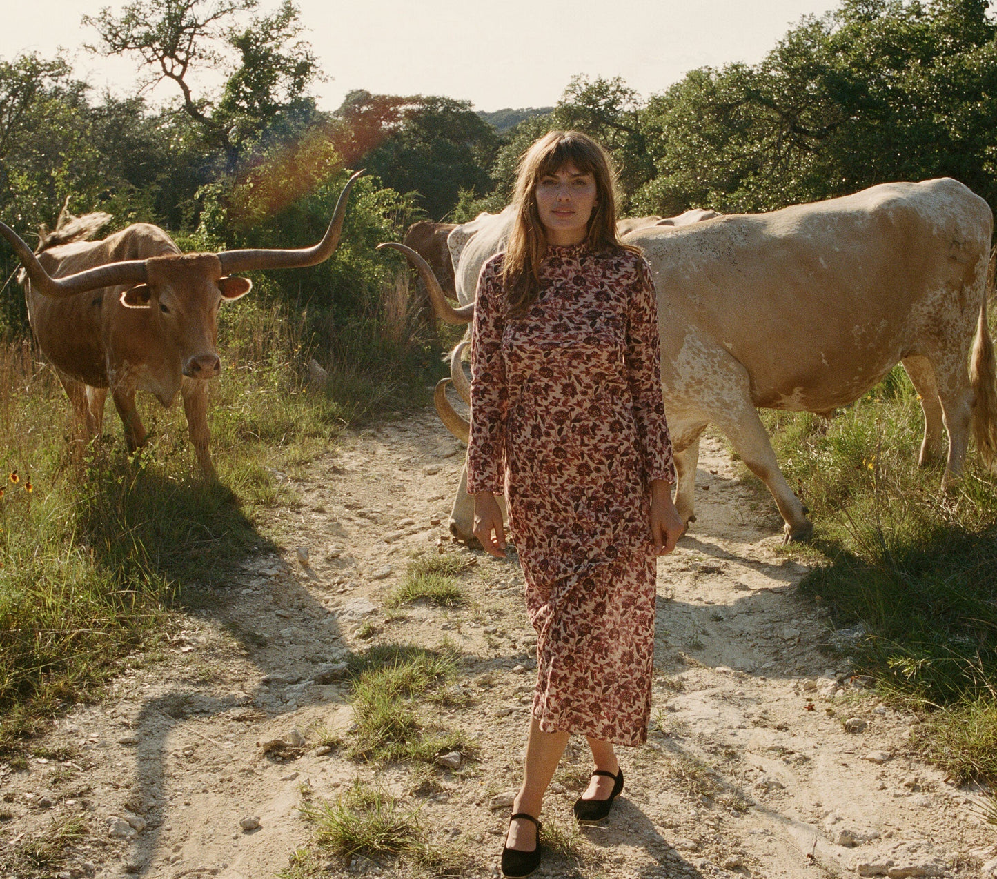 HMD -- AMES DRESS -- PLUM MULTI