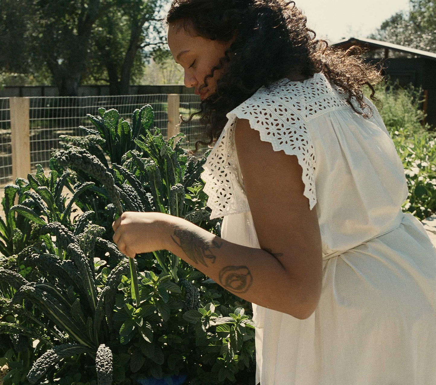 HMD -- CATRIONA DRESS -- SALT