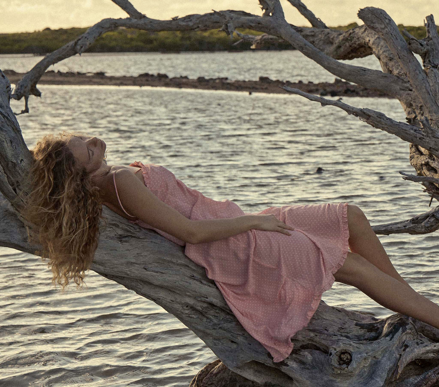 HMD -- CALSI DRESS -- CHERRY BLOSSOM DOT