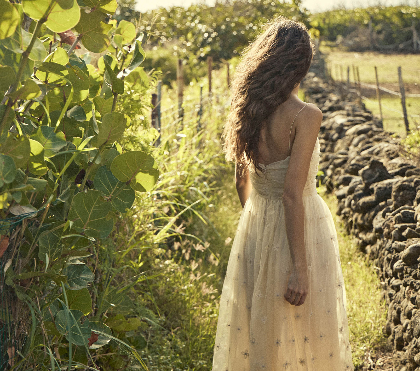 HMD -- CARDAMINE DRESS -- BIRCH