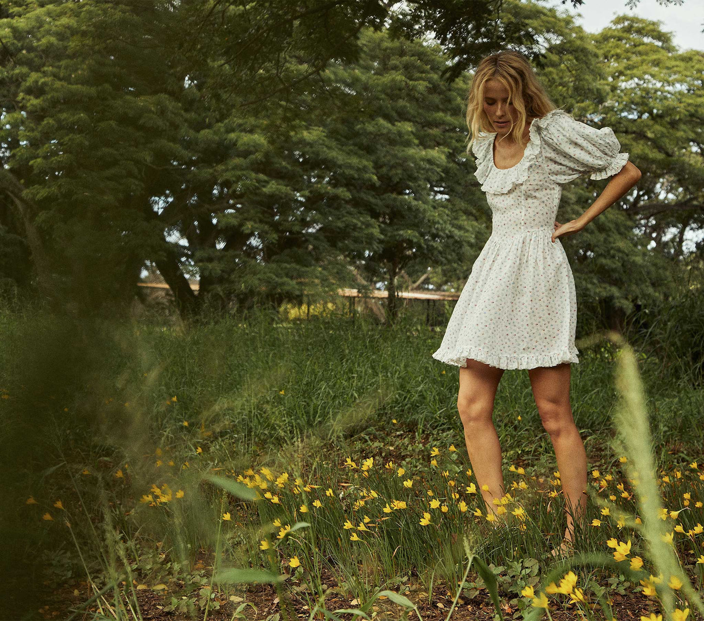 HMD -- BLUME DRESS -- SPRING PARC MONCEAU