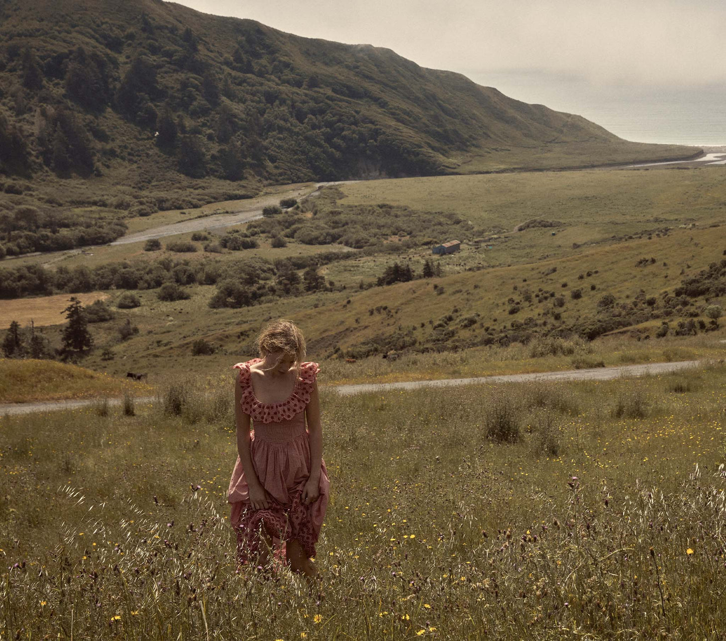 HMD -- LIESEL DRESS -- CERISE PARIS GINGHAM