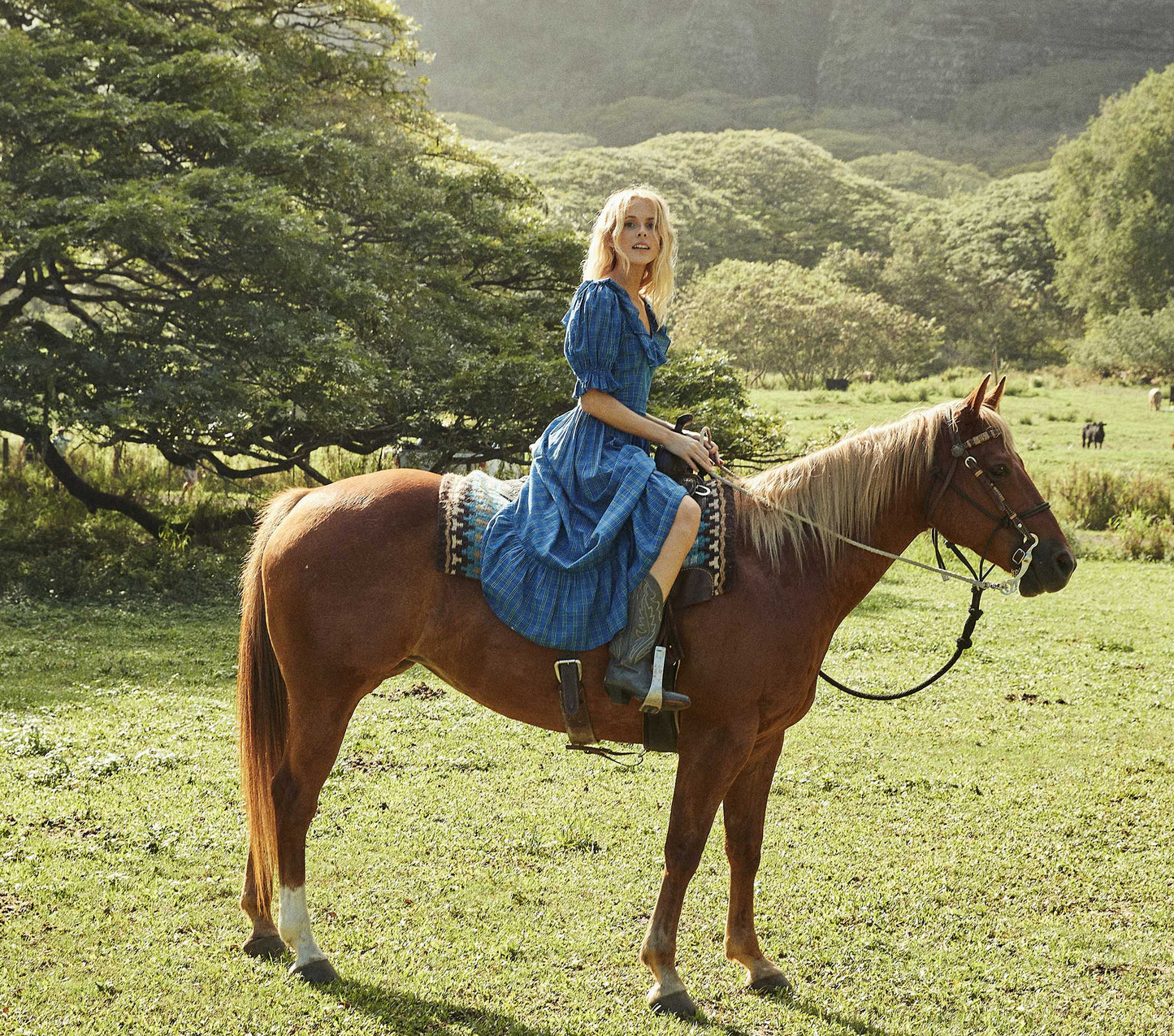 HMD -- LUPINE DRESS -- PARK LANE PLAID