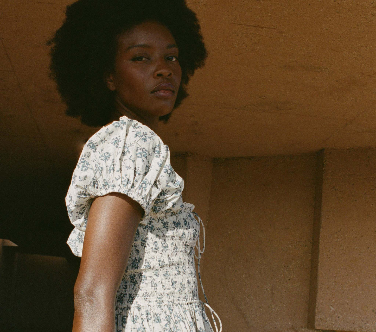 HMD -- STANZA DRESS -- SONGBIRD TOILE