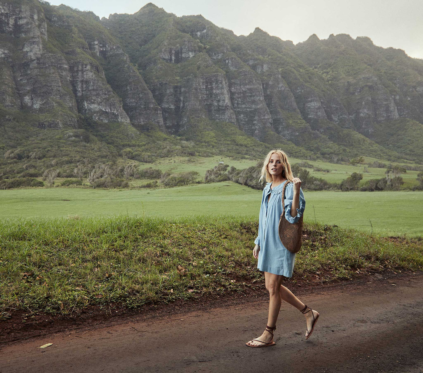 HMD -- WING DRESS -- PARISIAN CHAMBRAY