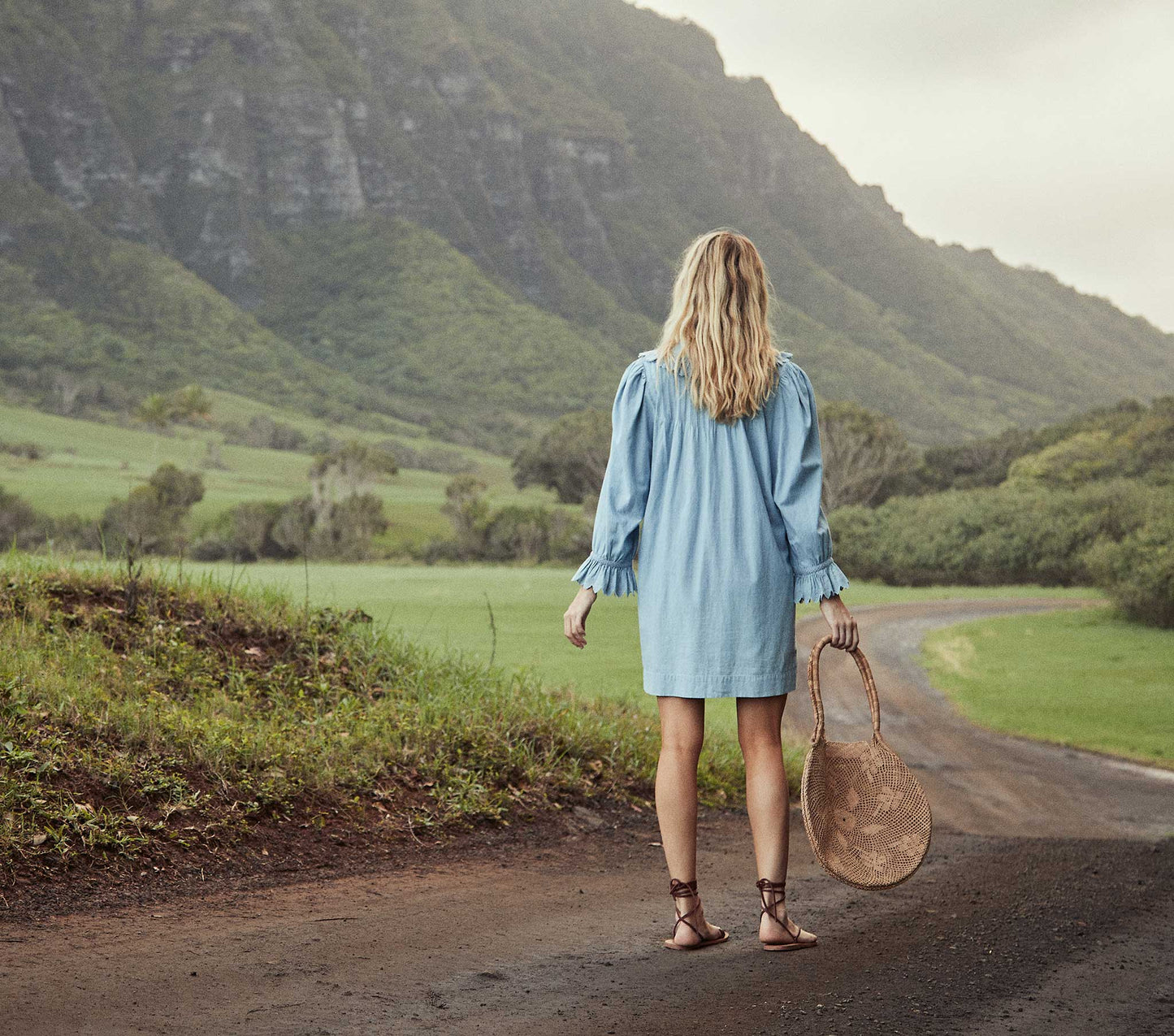 HMD -- WING DRESS -- PARISIAN CHAMBRAY