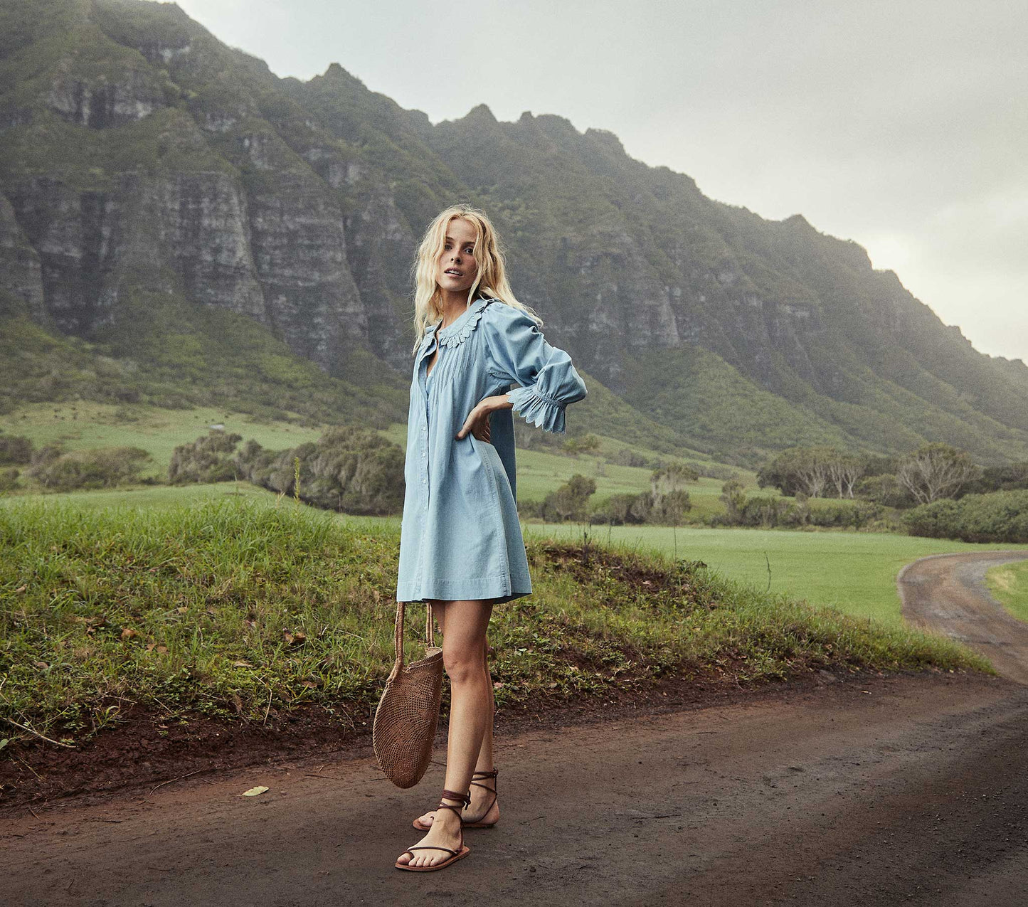 HMD -- WING DRESS -- PARISIAN CHAMBRAY